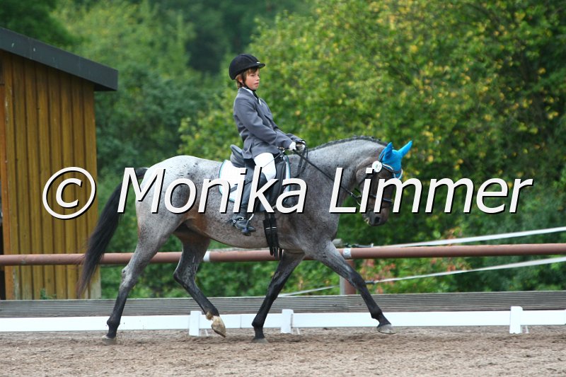 109M2704_Lett_Lovely Duchess_Dressur_A.JPG